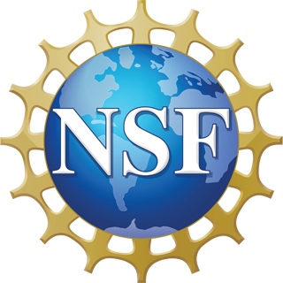 NSF logo featuring white letters “NSF” on a blue globe with continents, surrounded by a stylized golden gear-like border.