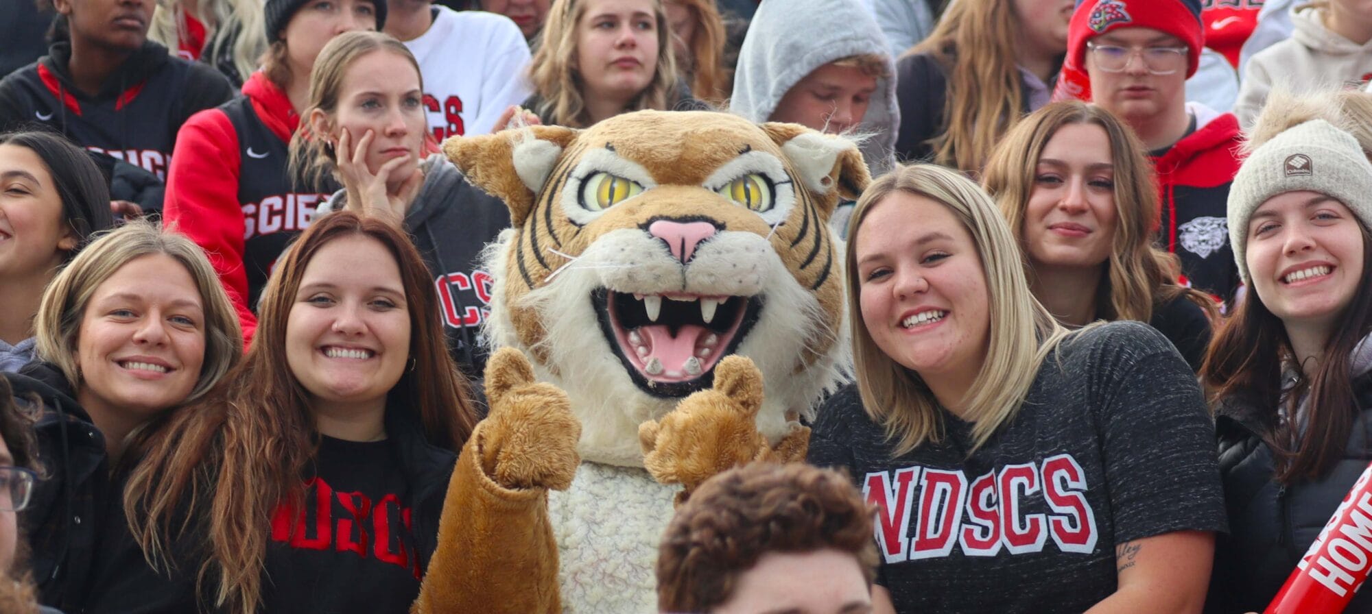 Ftr Wildcat Crowd