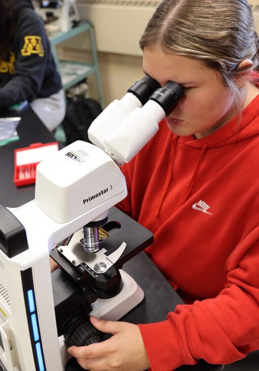 Student in a red sweatshirt using a microscope during a lab activity.