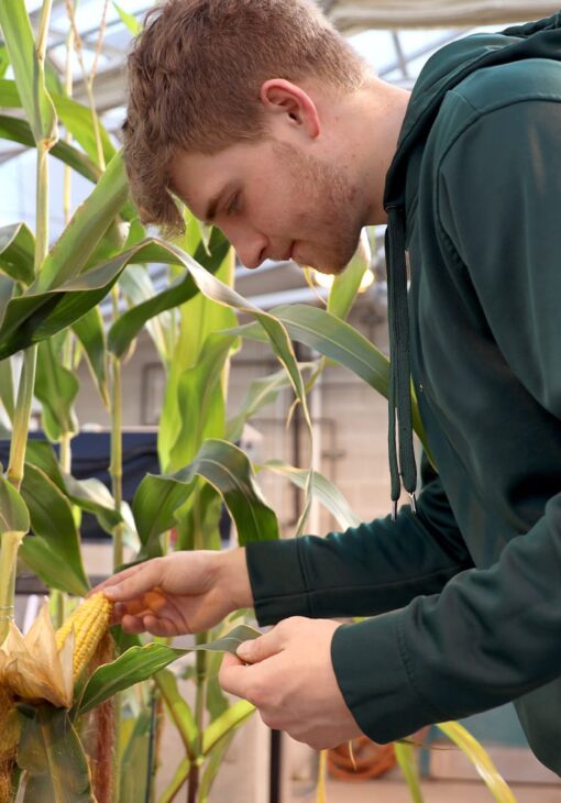 PrecisionAgronomy 420x530