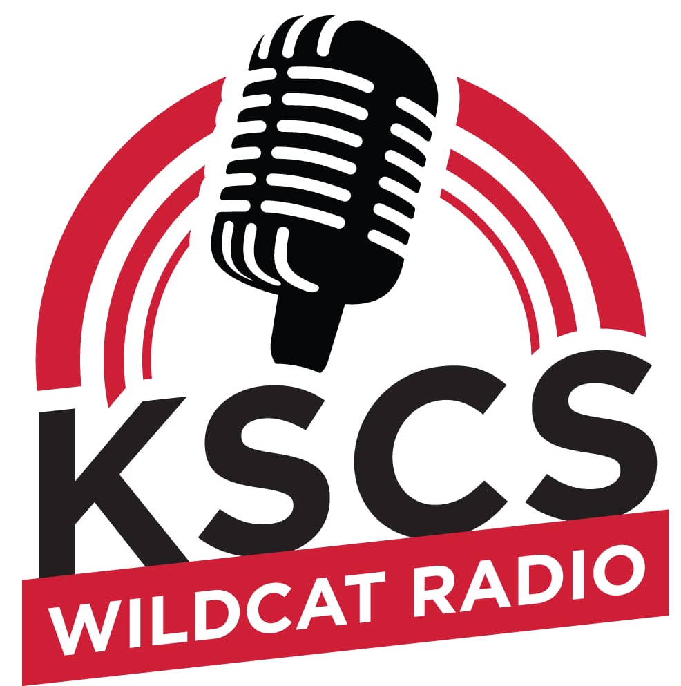 Online radio icon