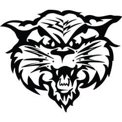 Ndscs news 3737 1754388936