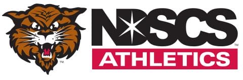 Ndscs news 3746 1754388937