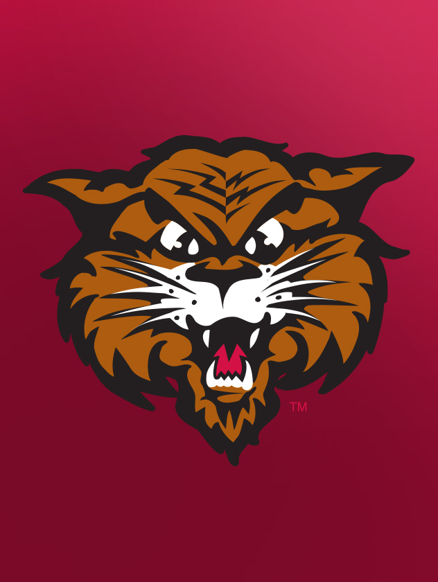 Wildcat mascot on a red background